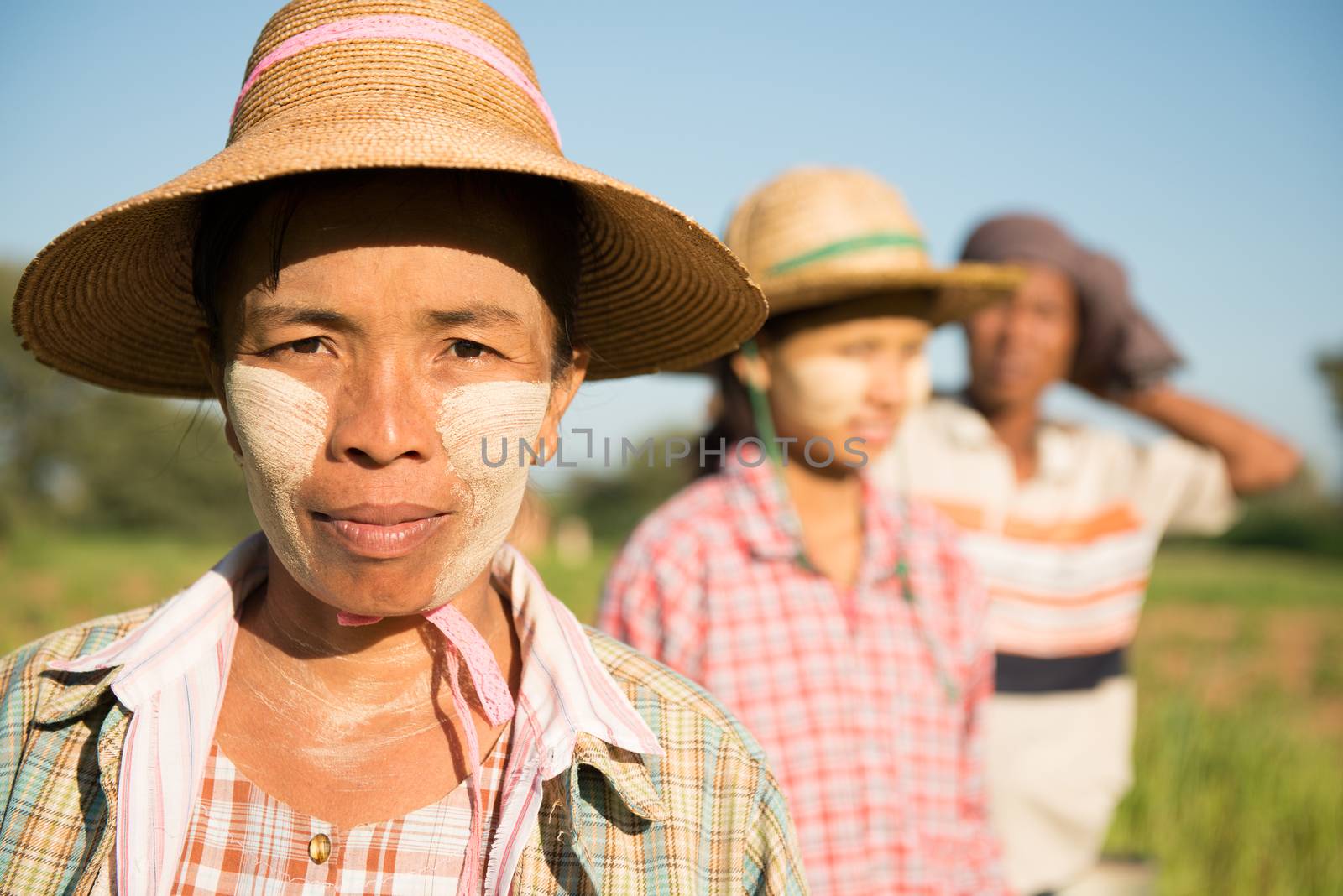 Portrait of a Asian Burmese farmers standing at paddy field.