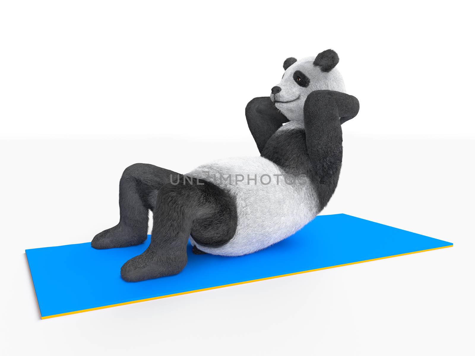 working abs trunk curls, illustration of sports and strengthening muscle tone. improve muscles of stomach and abdominals, demonstrated by fluffy personage character animal panda
