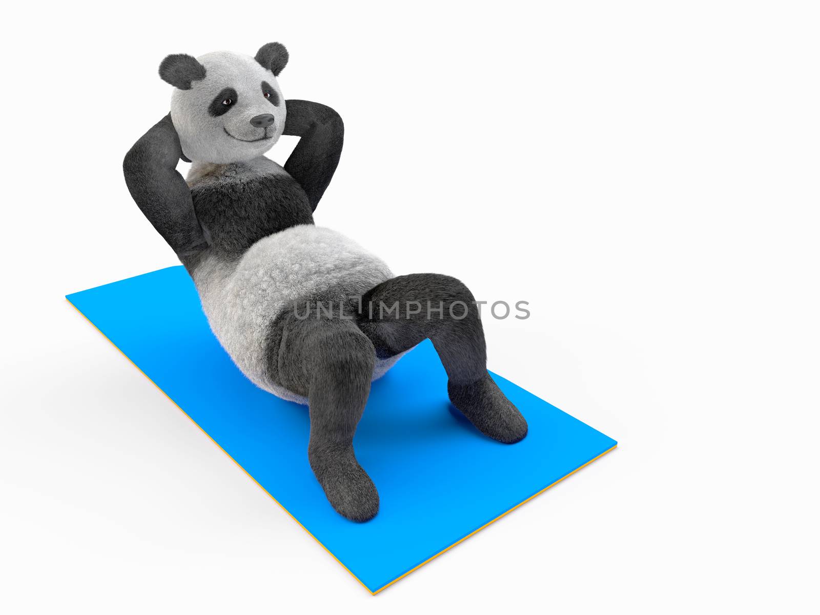 trunk curls, illustration of sports and strengthening muscle tone. improve muscles of stomach and abdominals, demonstrated by fluffy personage character animal panda