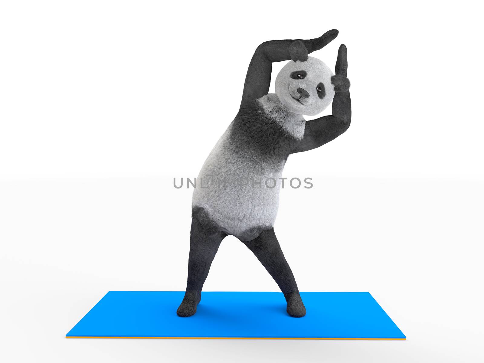 side bends with arms raised. Panda makes workout. Stretching oblique abdominal muscles.