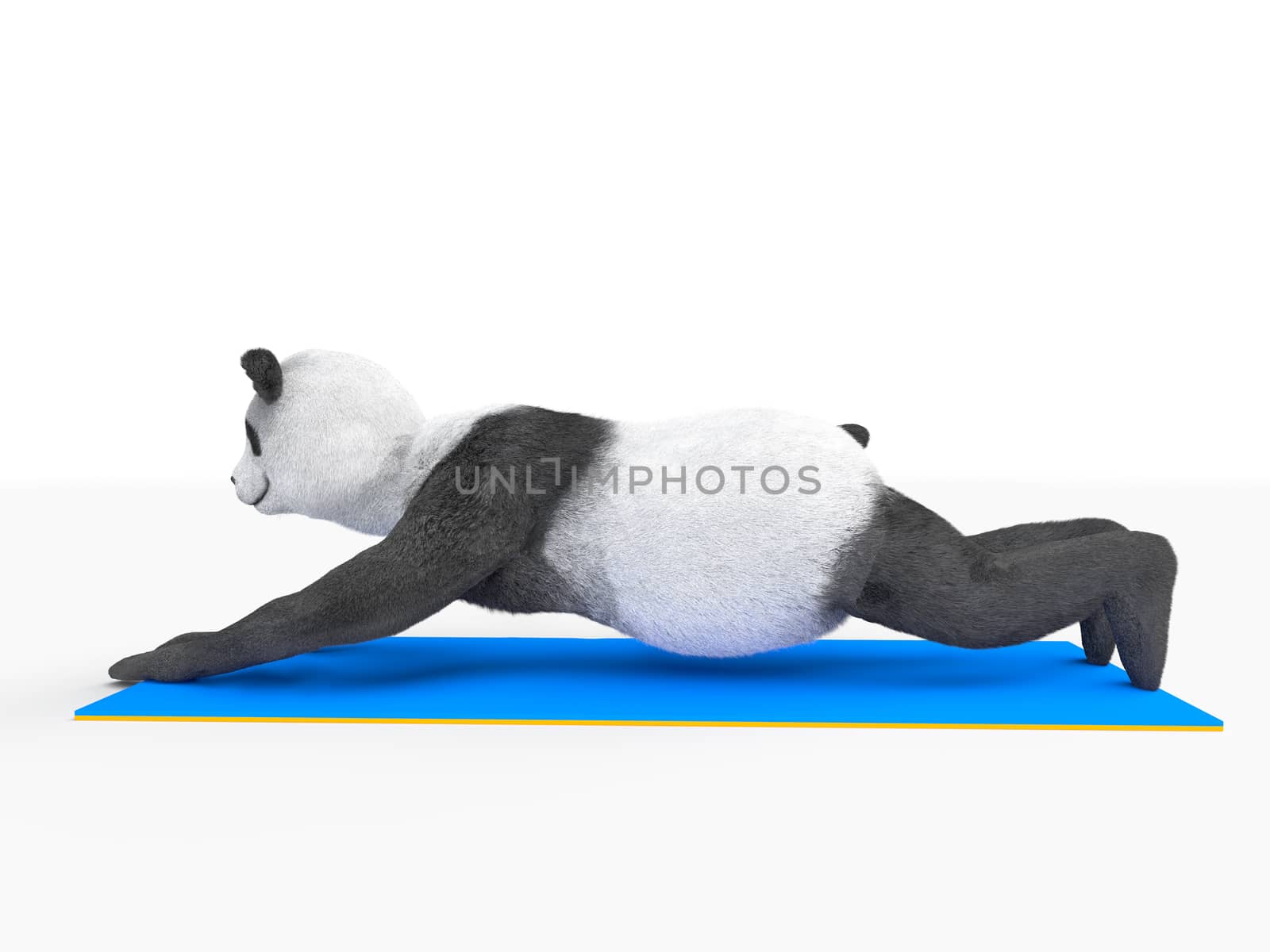 push-ups by animal character athlete illustration by xtate