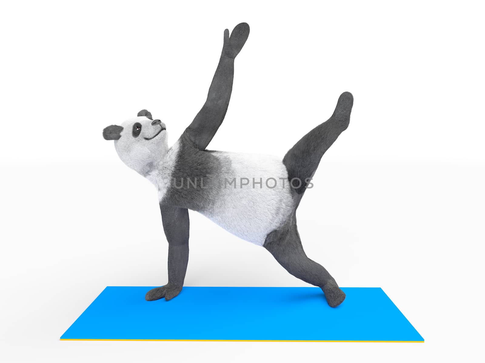 yogi practicing asana. Panda stands on the one hand and one foot, the other limbs are raised in the air