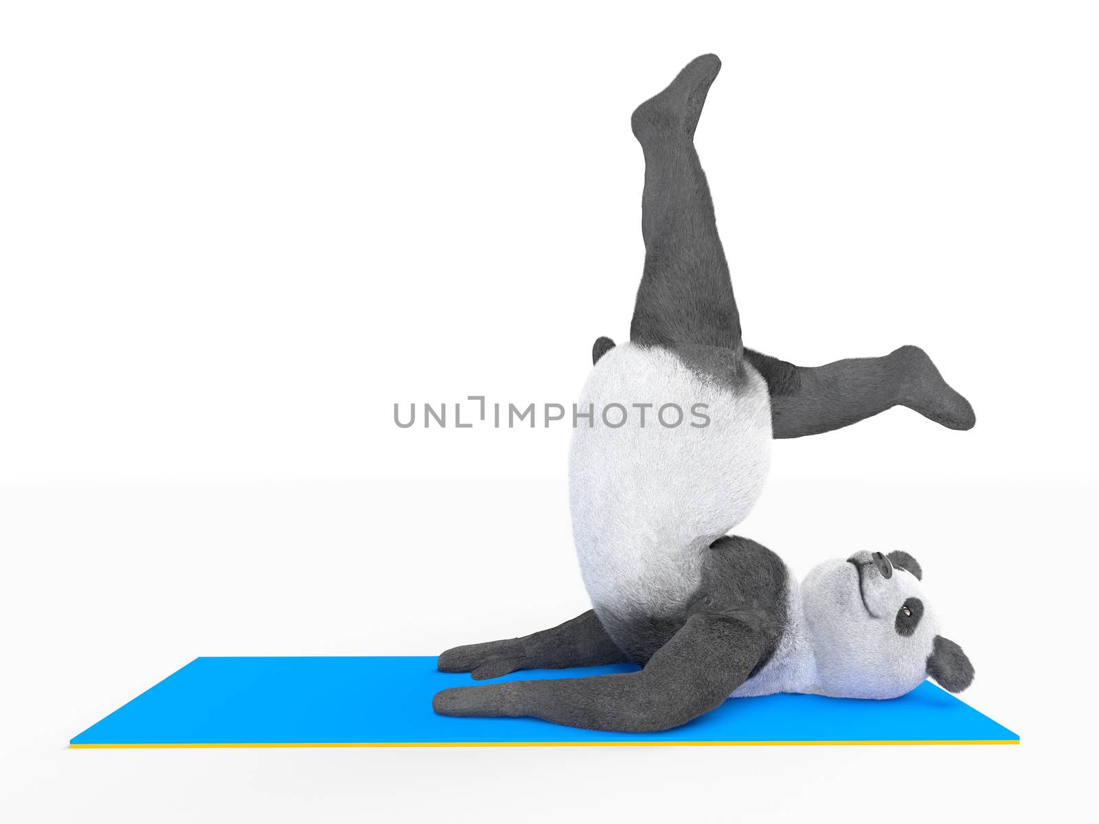 animal character personage panda doing yoga by xtate