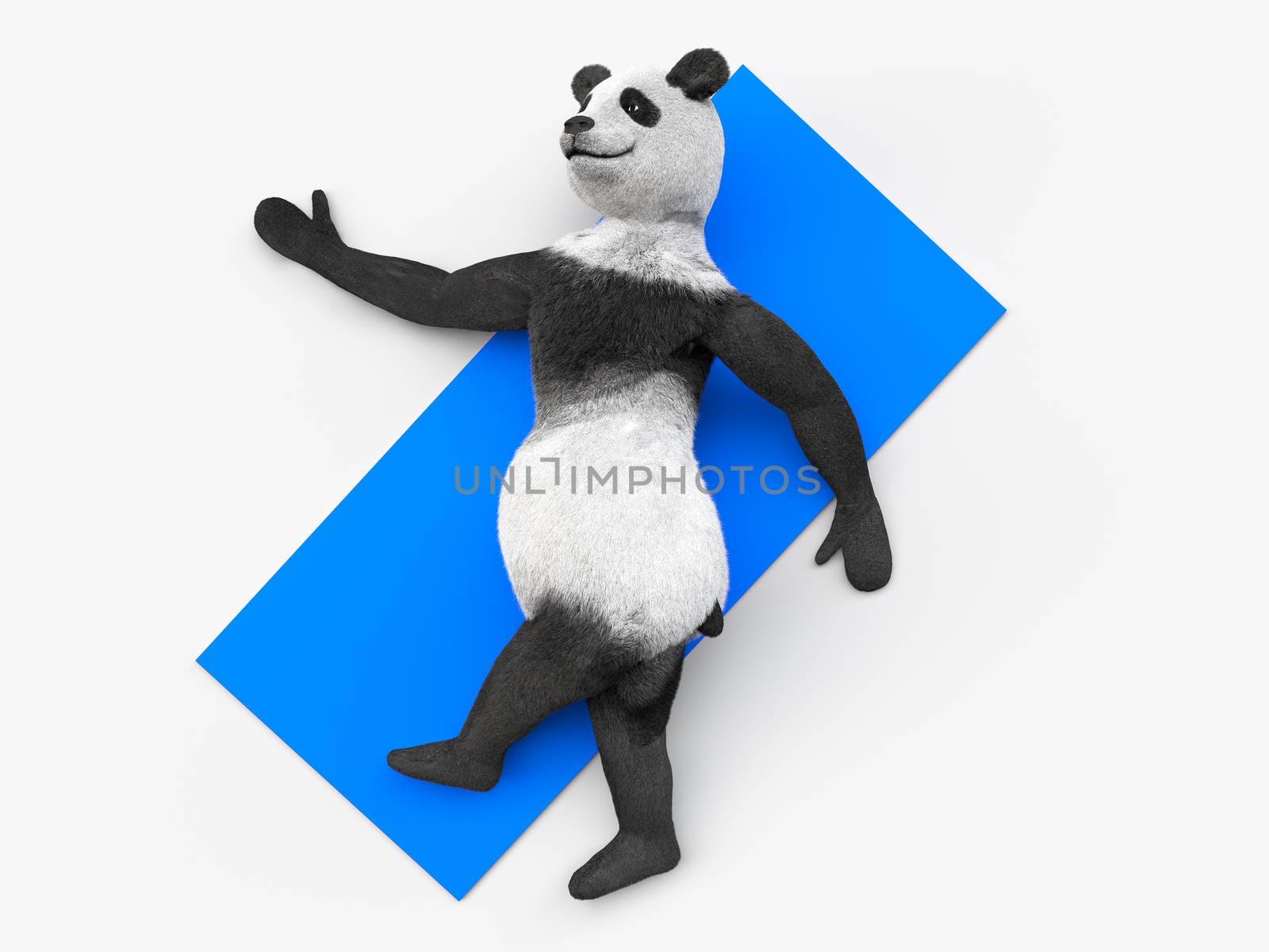 animal character personage panda doing yoga by xtate