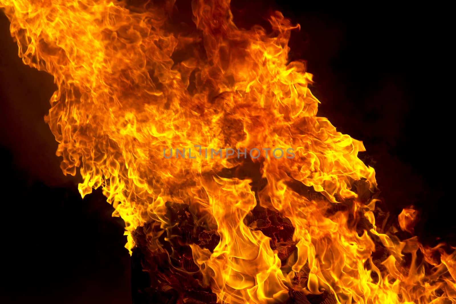 Photo of red fire flame on black background