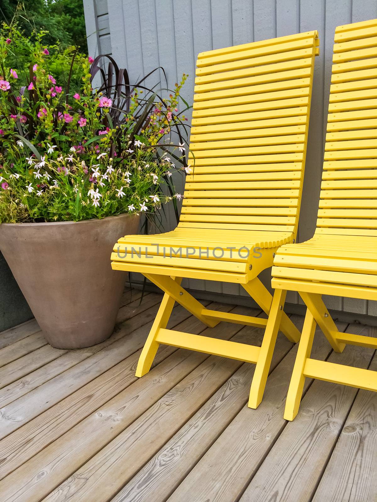 Patio decorated with yellow chairs and flowers by anikasalsera