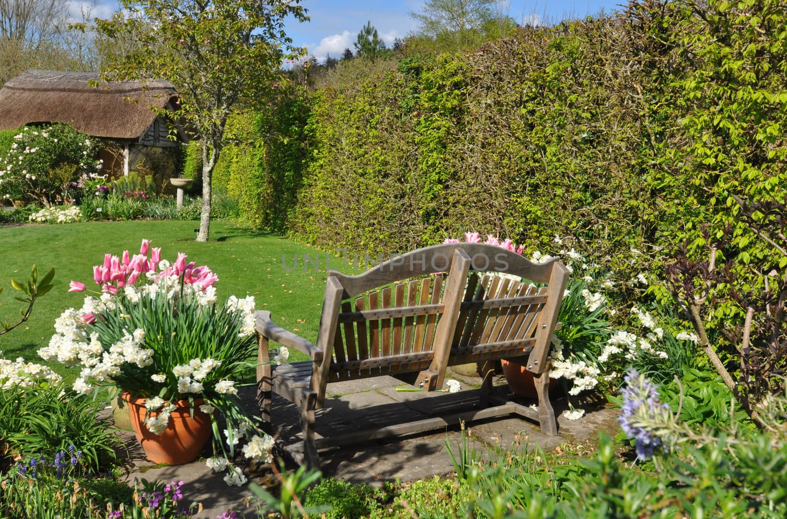 Garden bench by dpe123