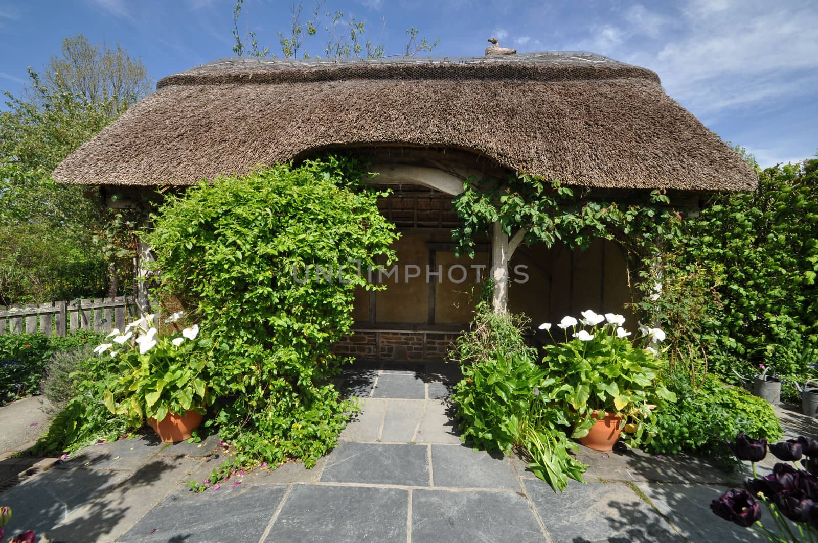 Thatched summerhouse by dpe123