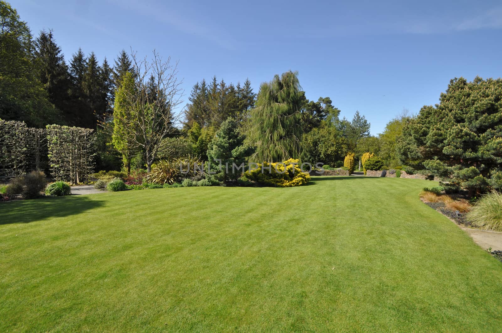 Beautiful lawn in an English style garden. Taken at RHS Rosemoor, Torrington, North Devon, England