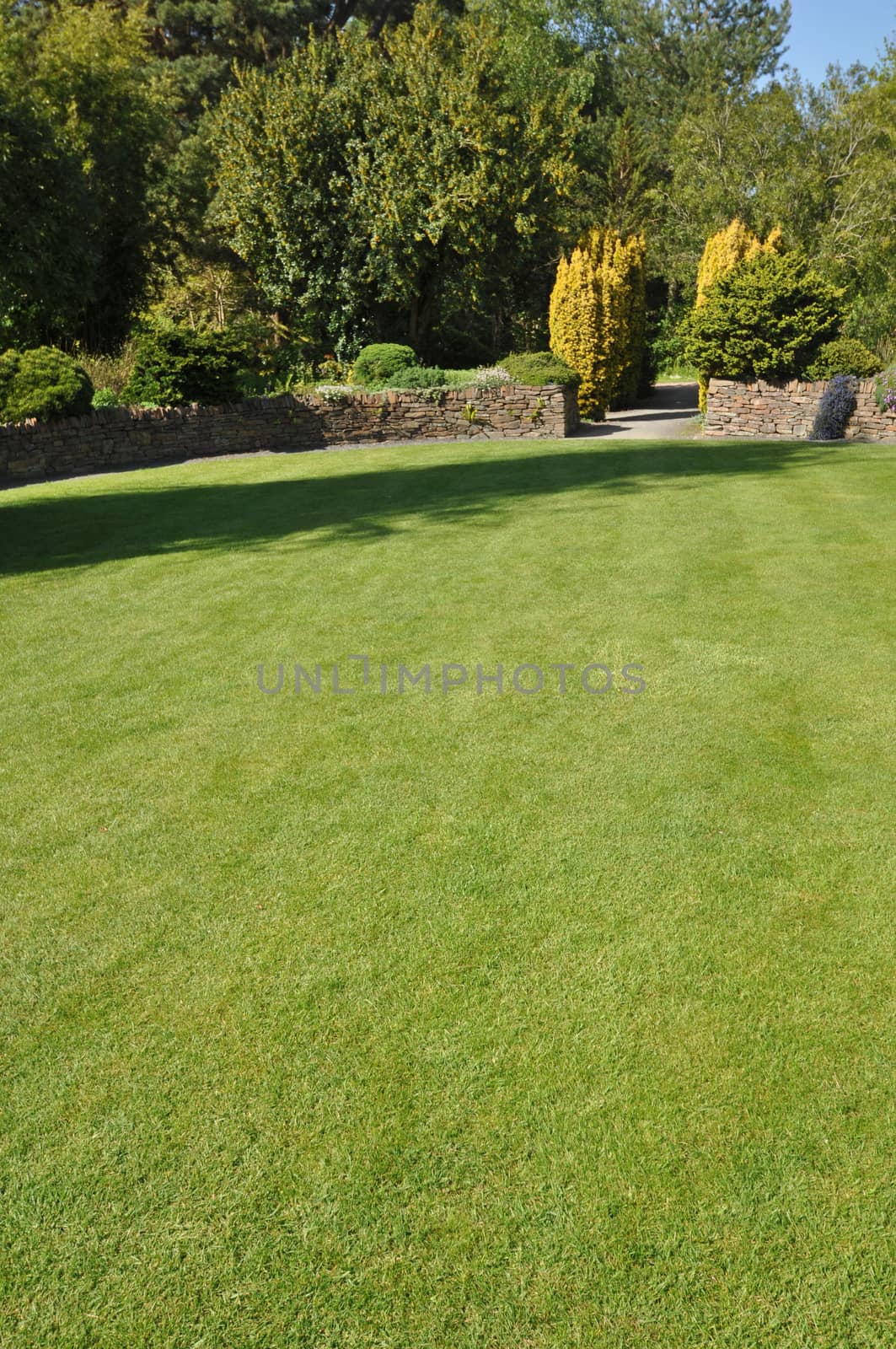 Beautiful lawn in an English style garden. Taken at RHS Rosemoor, Torrington, North Devon, England