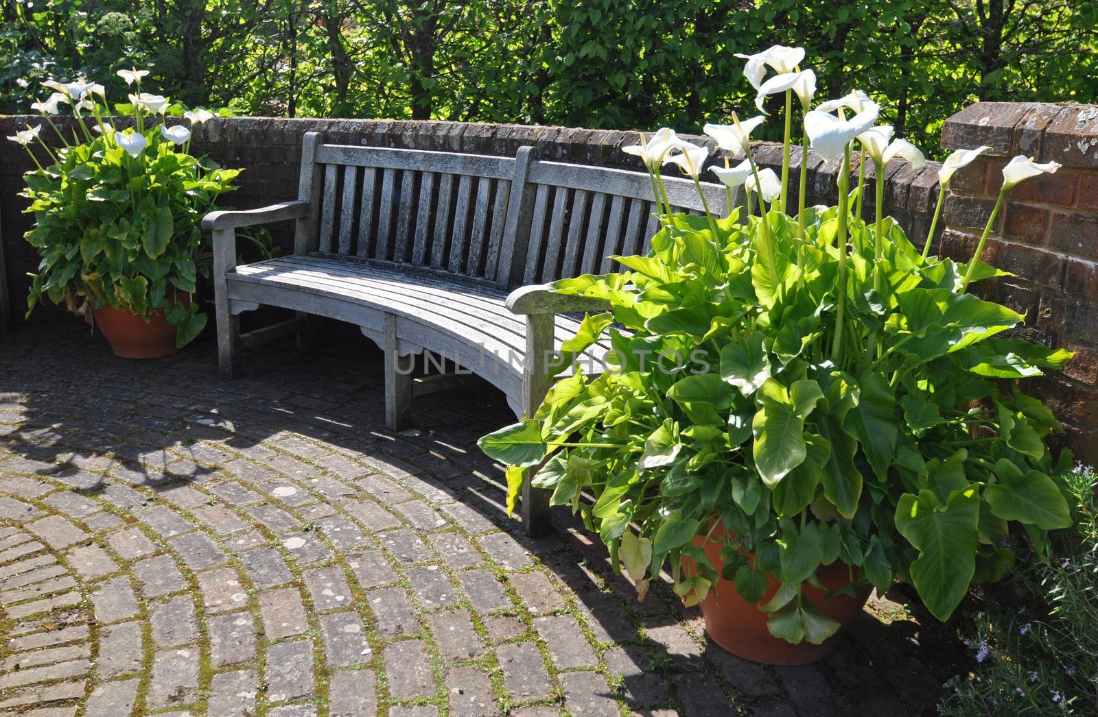 Garden furniture an English style garden. Taken at RHS Rosemoor, Torrington, North Devon, England