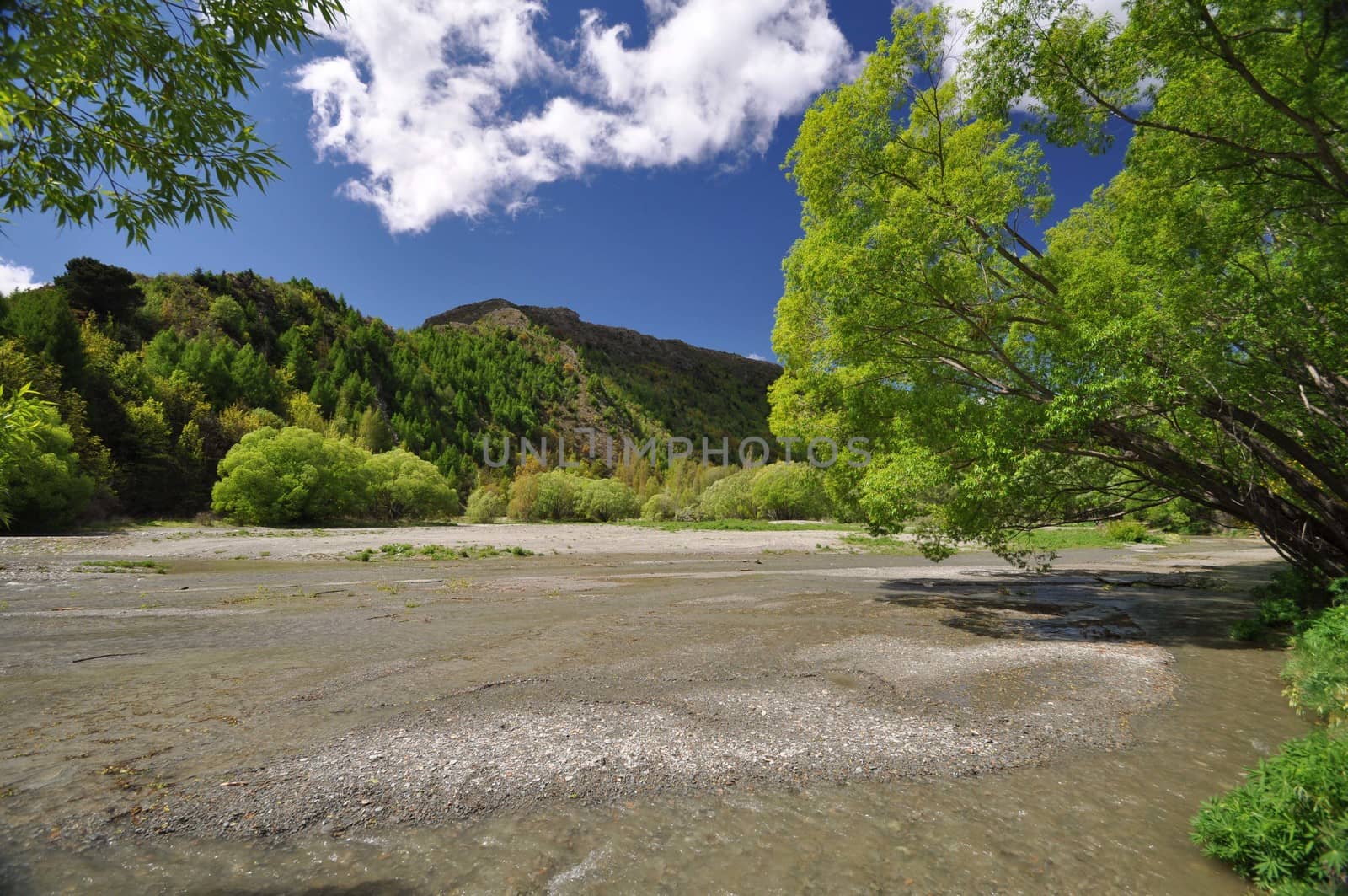 Fox river at Arrowtown, near Queenstown, Otago, New Zealand. The river produced large amount of gold during the 1860's gold rush.