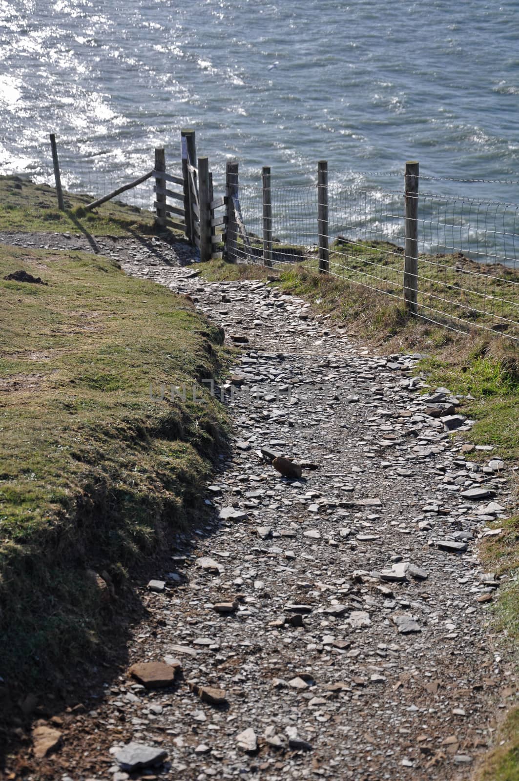 Southwest Coast footpath at Baggy Point headland, Croyde, North Devon, England, a popular walk throughout the year.