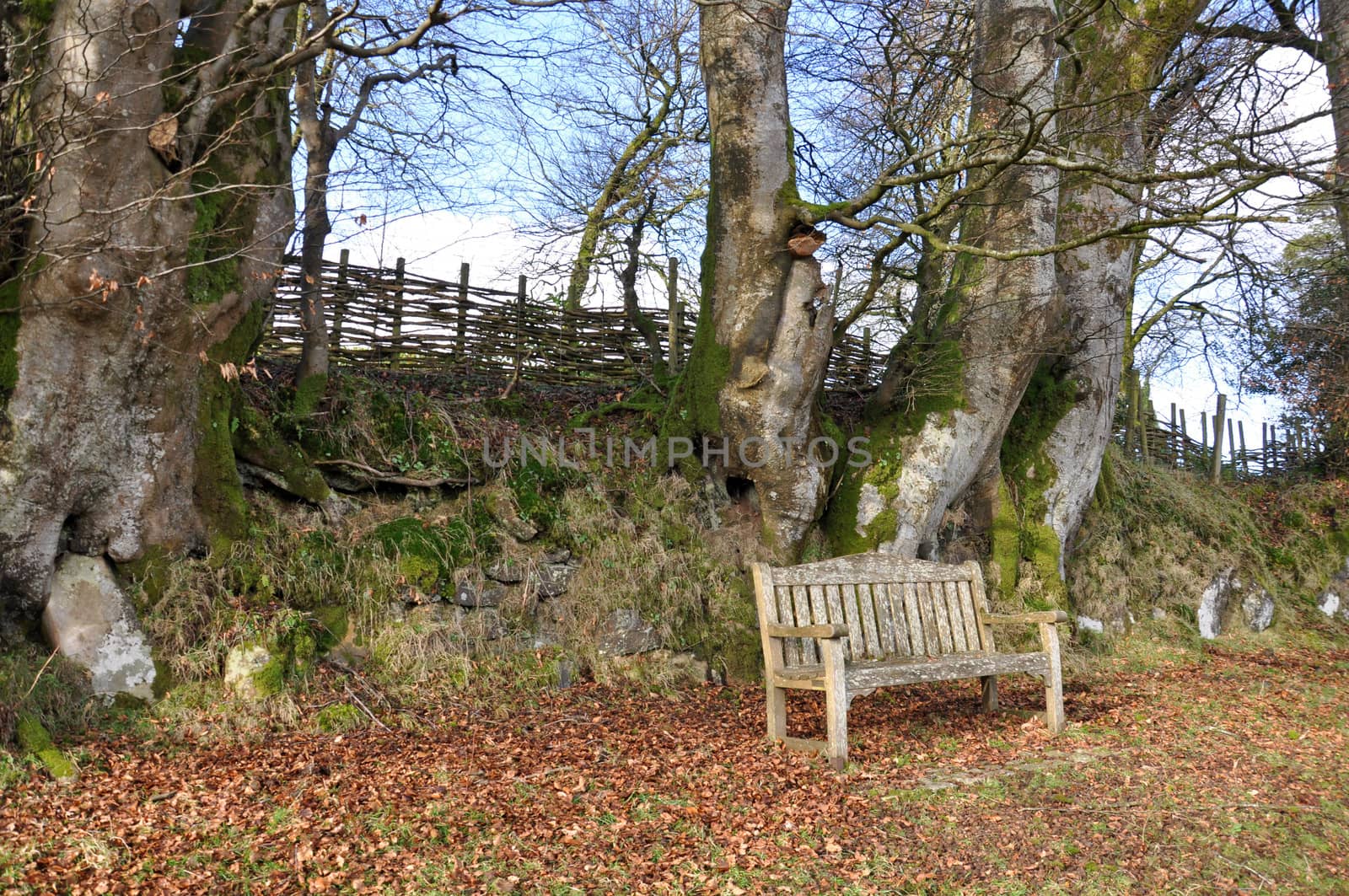 This weathered wooden bench is on the verge next to the village of Belstone, Dartmoor, Devon, England