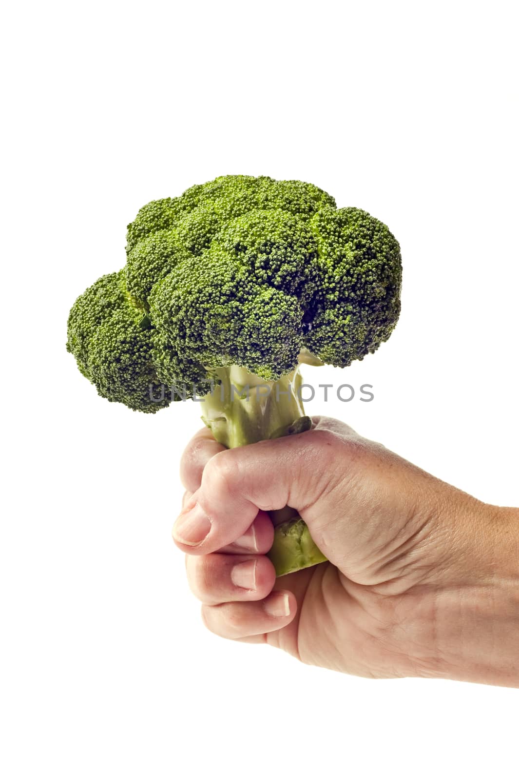 Hand holding fresh broccoli on white background
