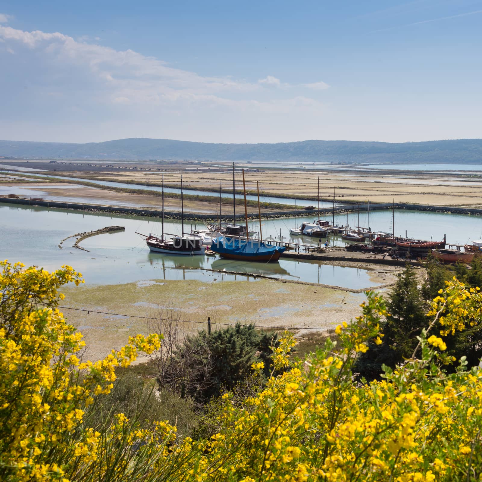 Natural park Secovlje Salina in Slovenia, Europe. View of traditional wooden fishing boats, salt evaporation ponds with green mediterranean hills in background.