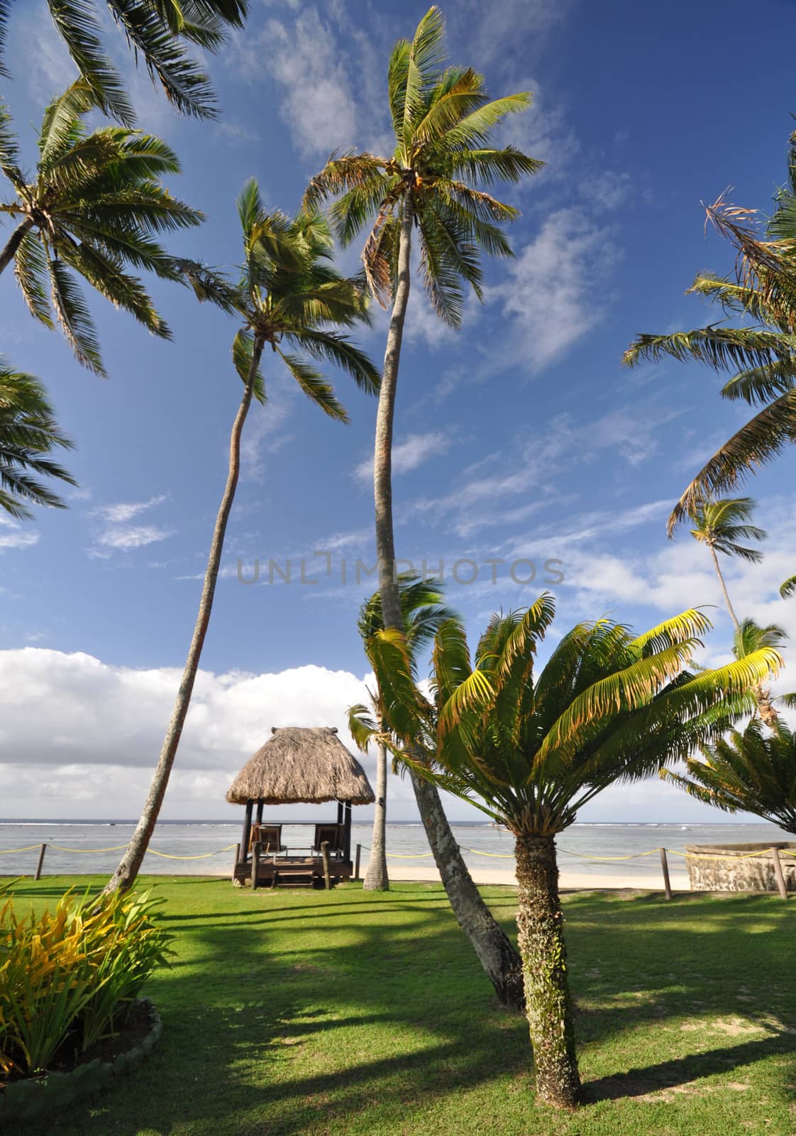The tranquil beaches of the  South Pacific Ocean really are paradise found. This thatched beach hut overlooks the Coral Coast on the island of Viti Levu (Fiji)