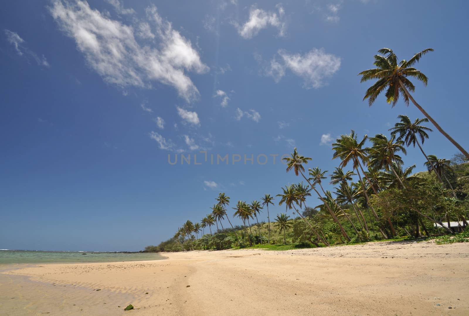 Palm trees fringed beach against a tropical sky on the edge of the Coral Coast on the Fijian island of Viti Levu in the South Pacific