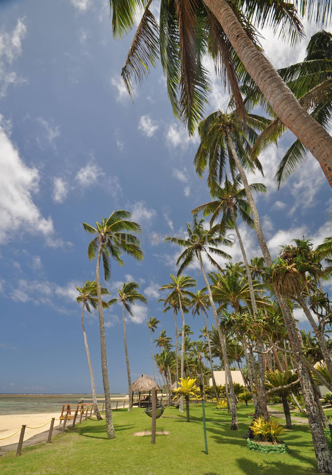 The tranquil beaches of the  South Pacific Ocean really are paradise found. This garden overlooks the Coral Coast on the island of Viti Levu (Fiji)