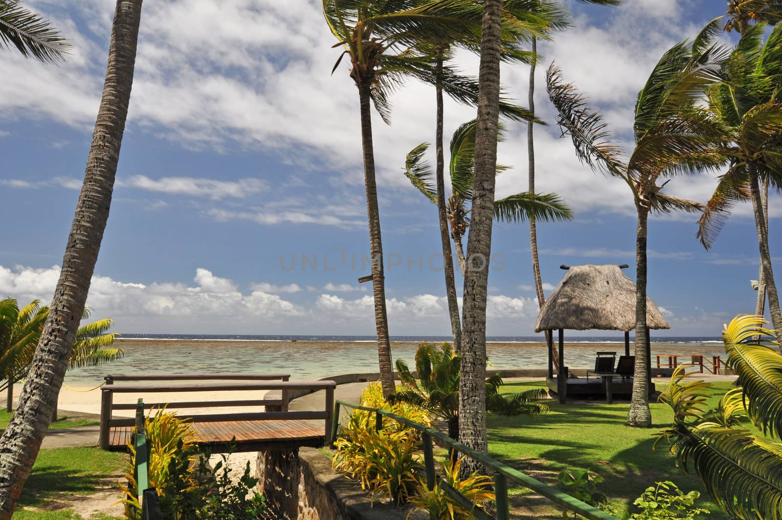 The tranquil beaches of the  South Pacific Ocean really are paradise found. This garden overlooks the Coral Coast on the island of Viti Levu (Fiji)