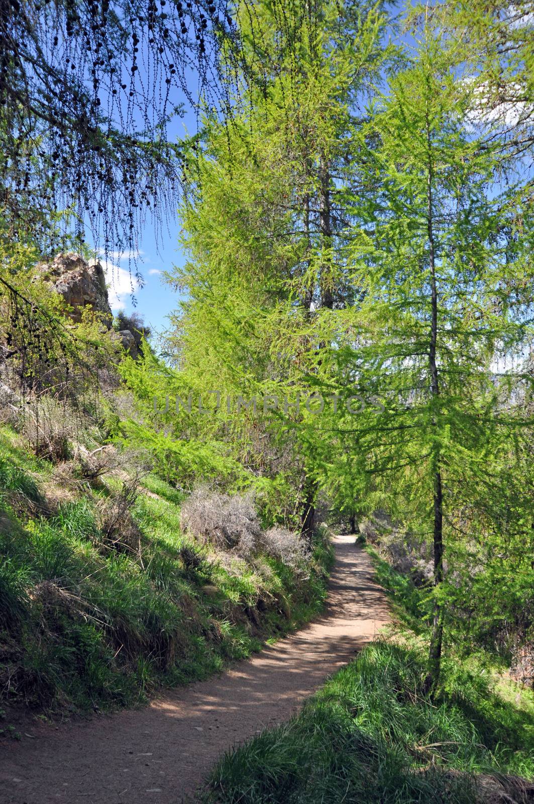 The path to Mount John by dpe123