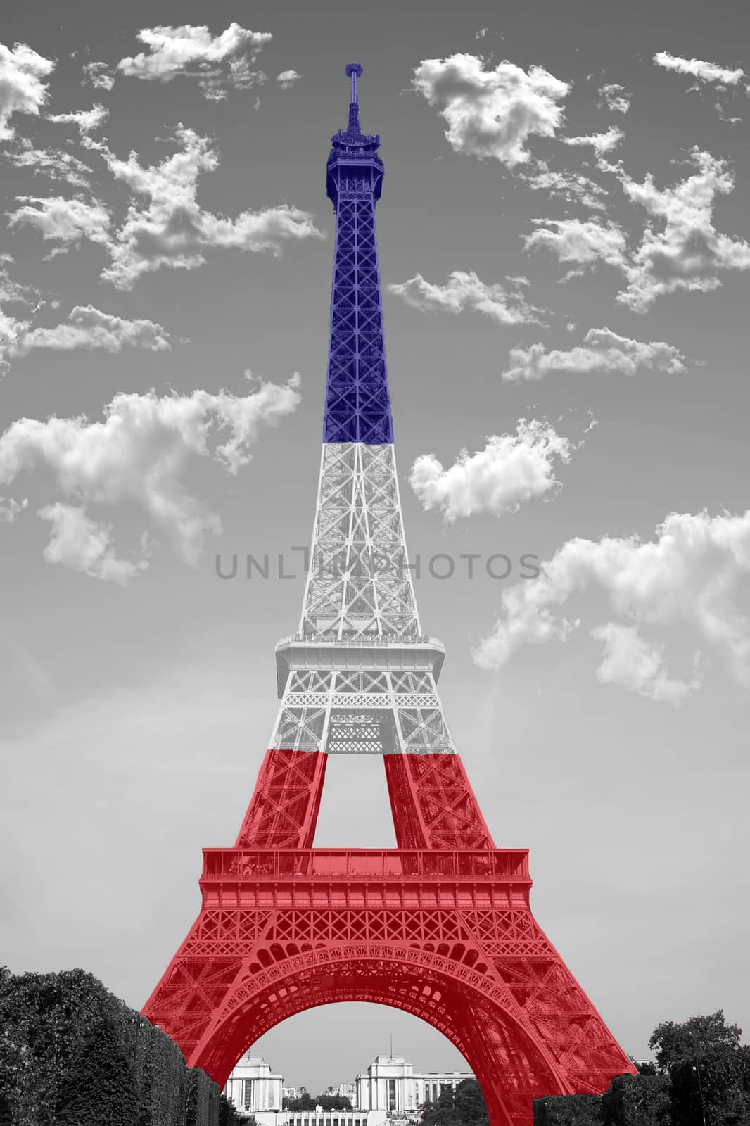 The Eiffel Tower in Paris by johan10