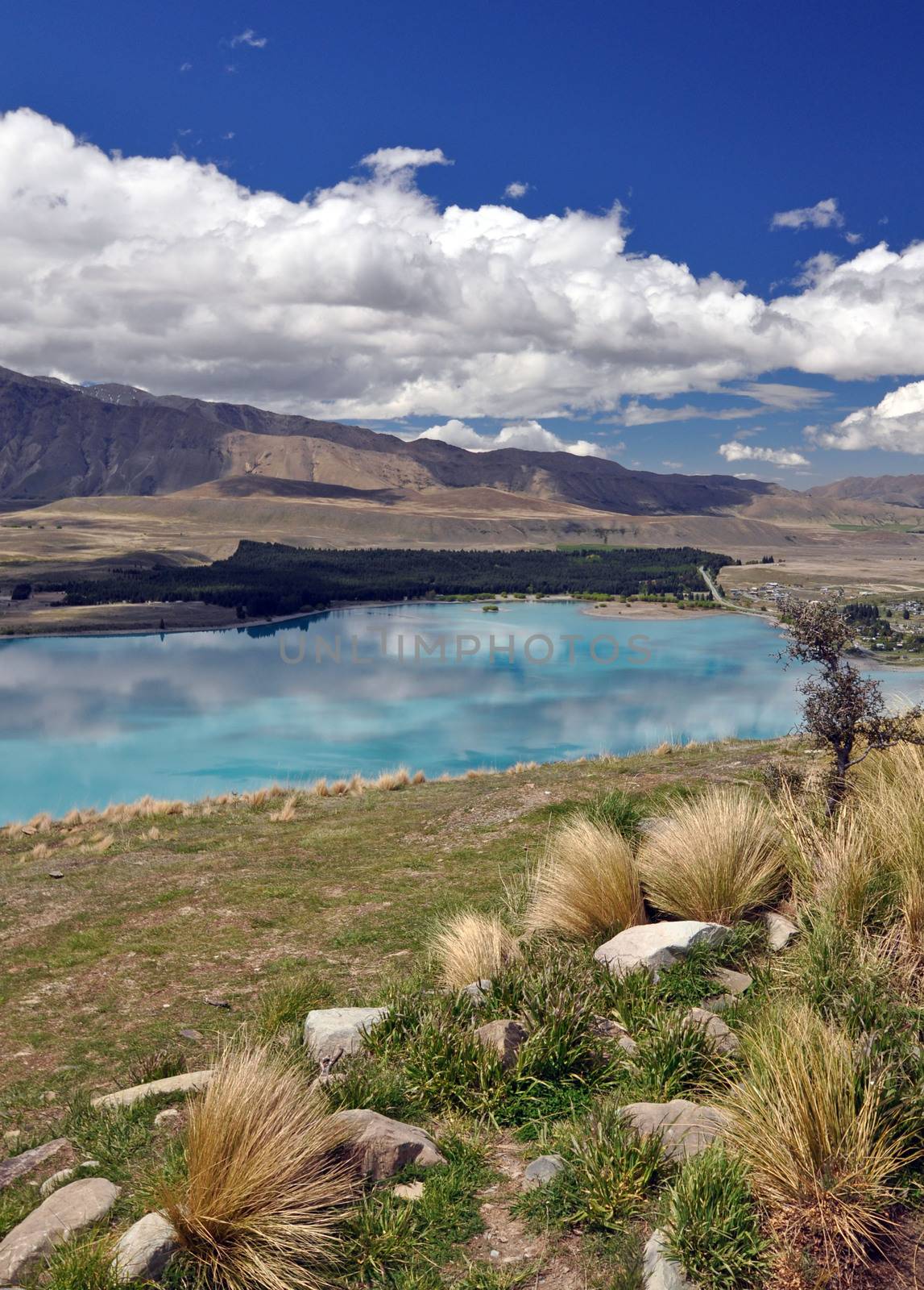 Lake Tepako New Zealand from the path from Mount John Observator by dpe123