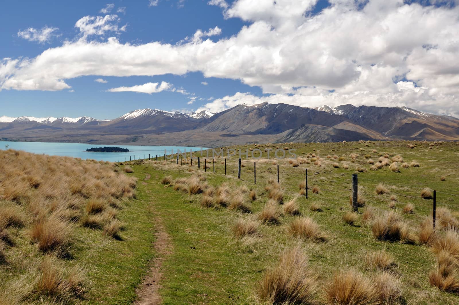 Motuariki Island on Lake Tepako from the path near Mount John Observatory