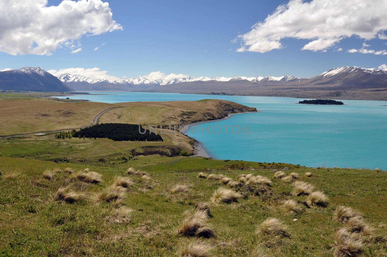 Motuariki Island on Lake Tepako from the path near Mount John Observatory