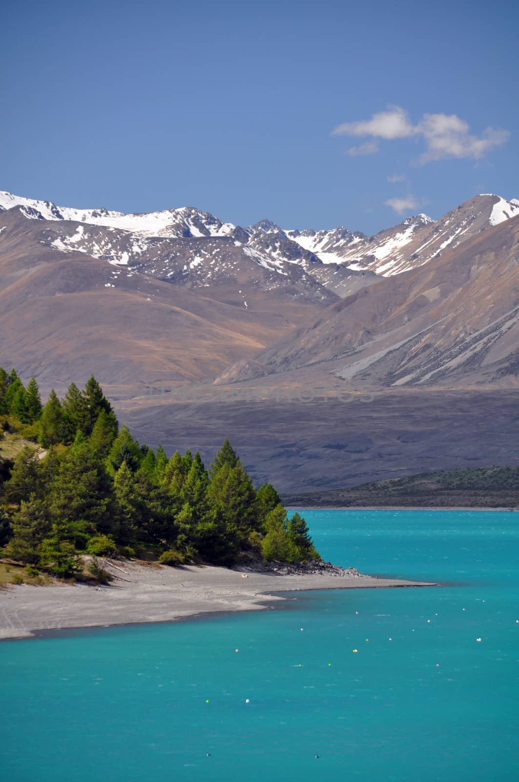 Lake Tepako shoreline seen from the head of the lake near Lake Tepako village, New Zealand