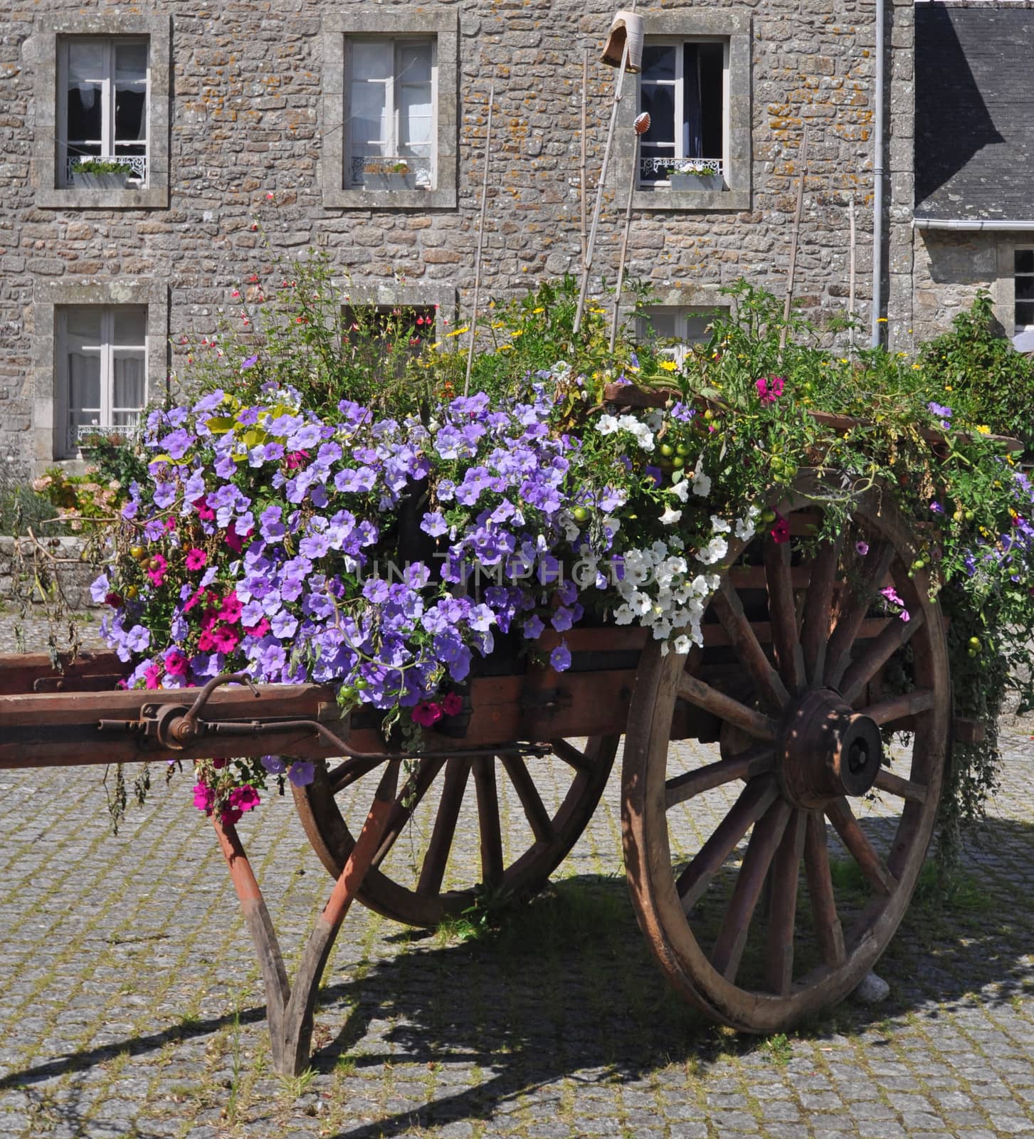 Floral display in an old wooden cart, in the village of Locronan, in Brittany, rural France