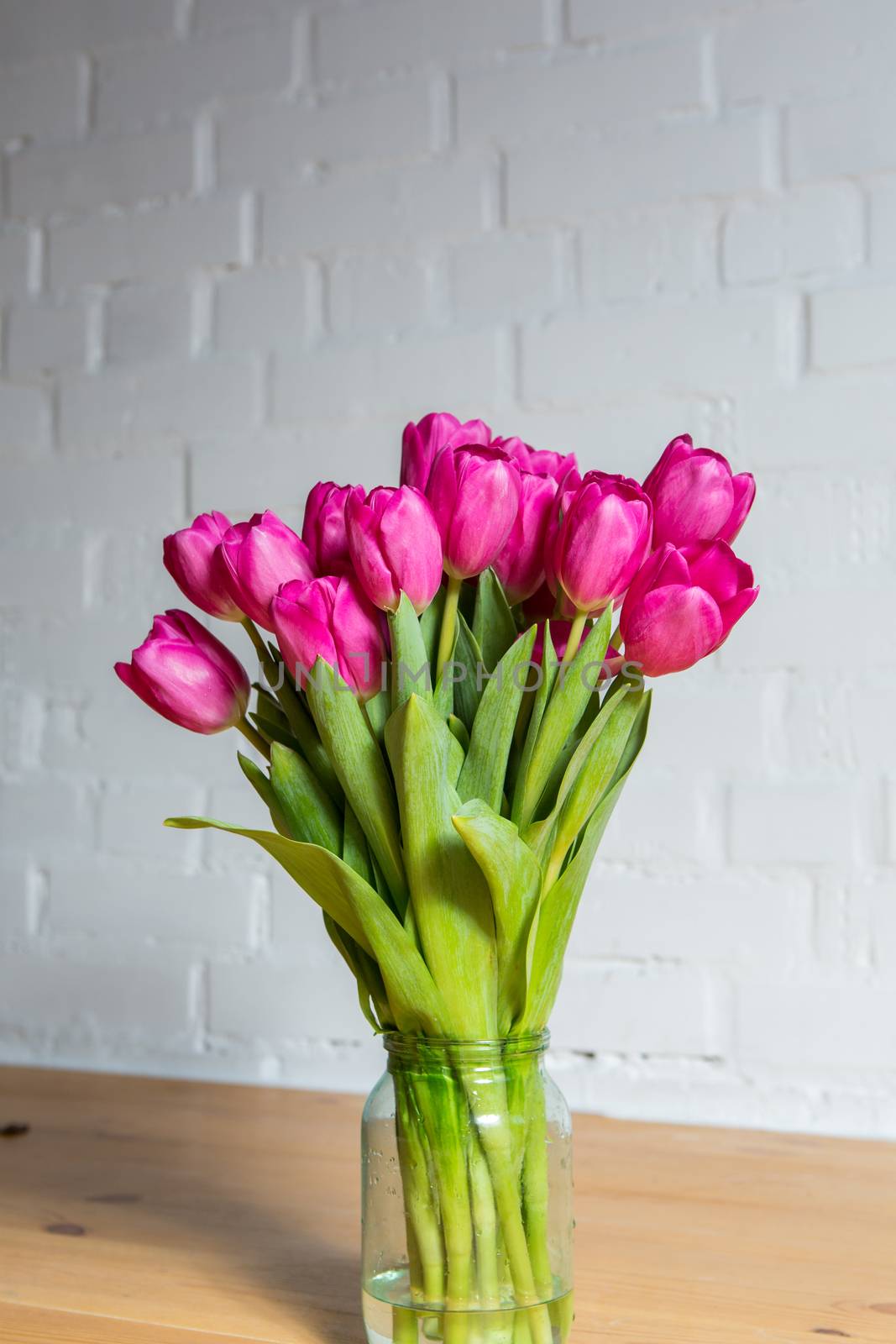 beautiful pink tulips on white background in glass