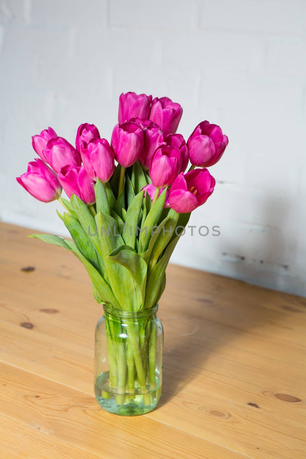 beautiful pink tulips in a vase by sarymsakov