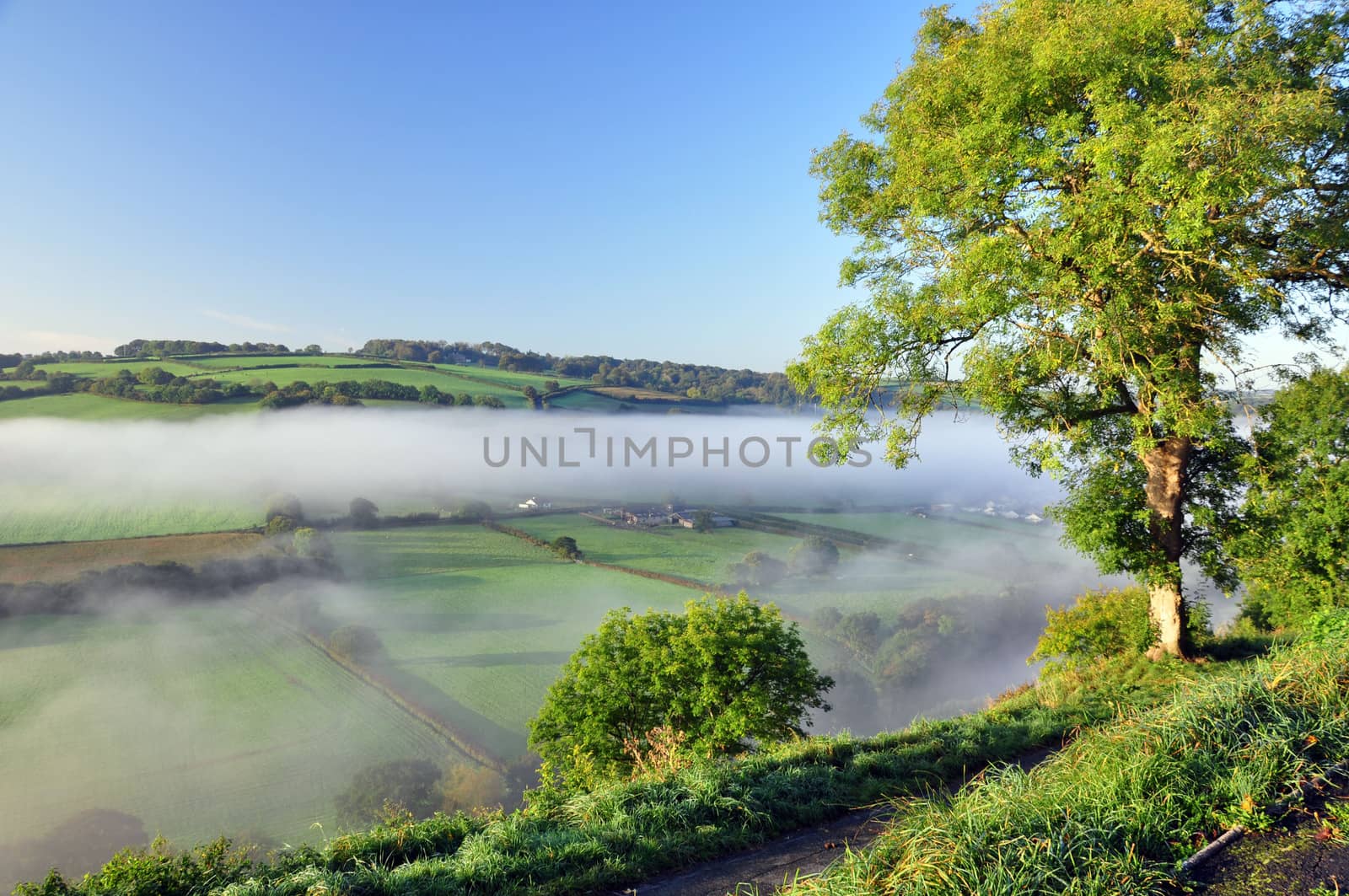 The view from Castle Hill, Torrington, in North Devon, England, overlooks the deep ravine of the River Torridge ( The home of Tarka the Otter ). The image captures a thread of early morning mist as it lifts from the valley as the sun warms it.