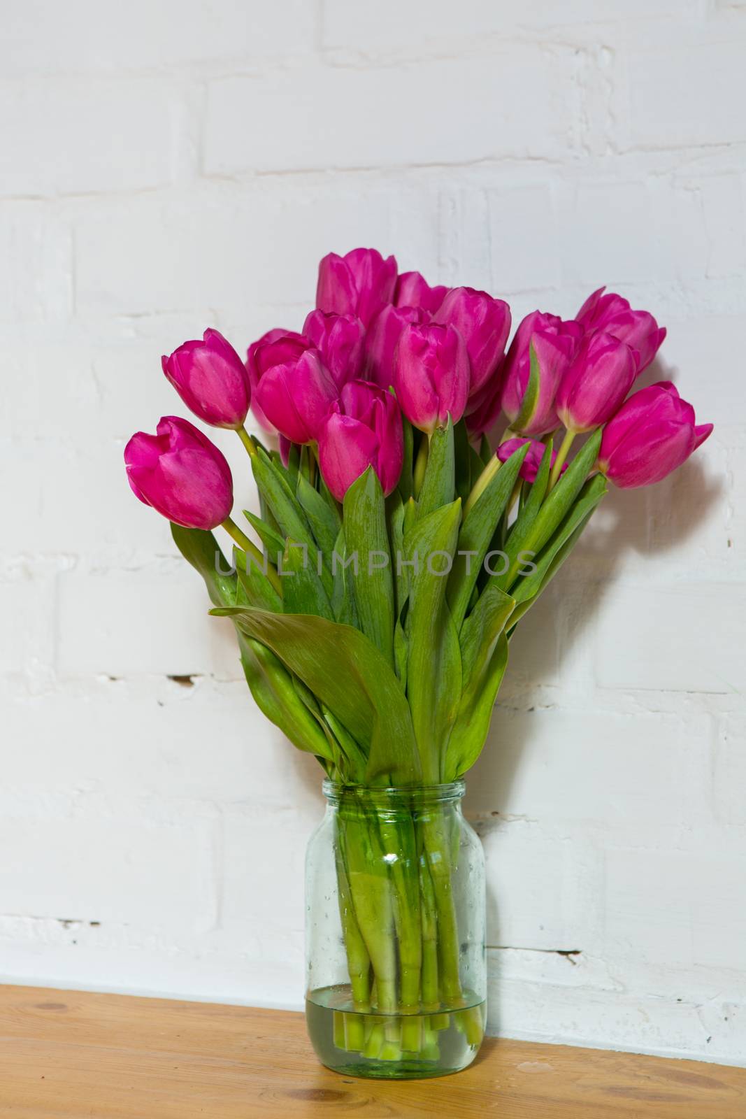 beautiful pink tulips on white background in glass