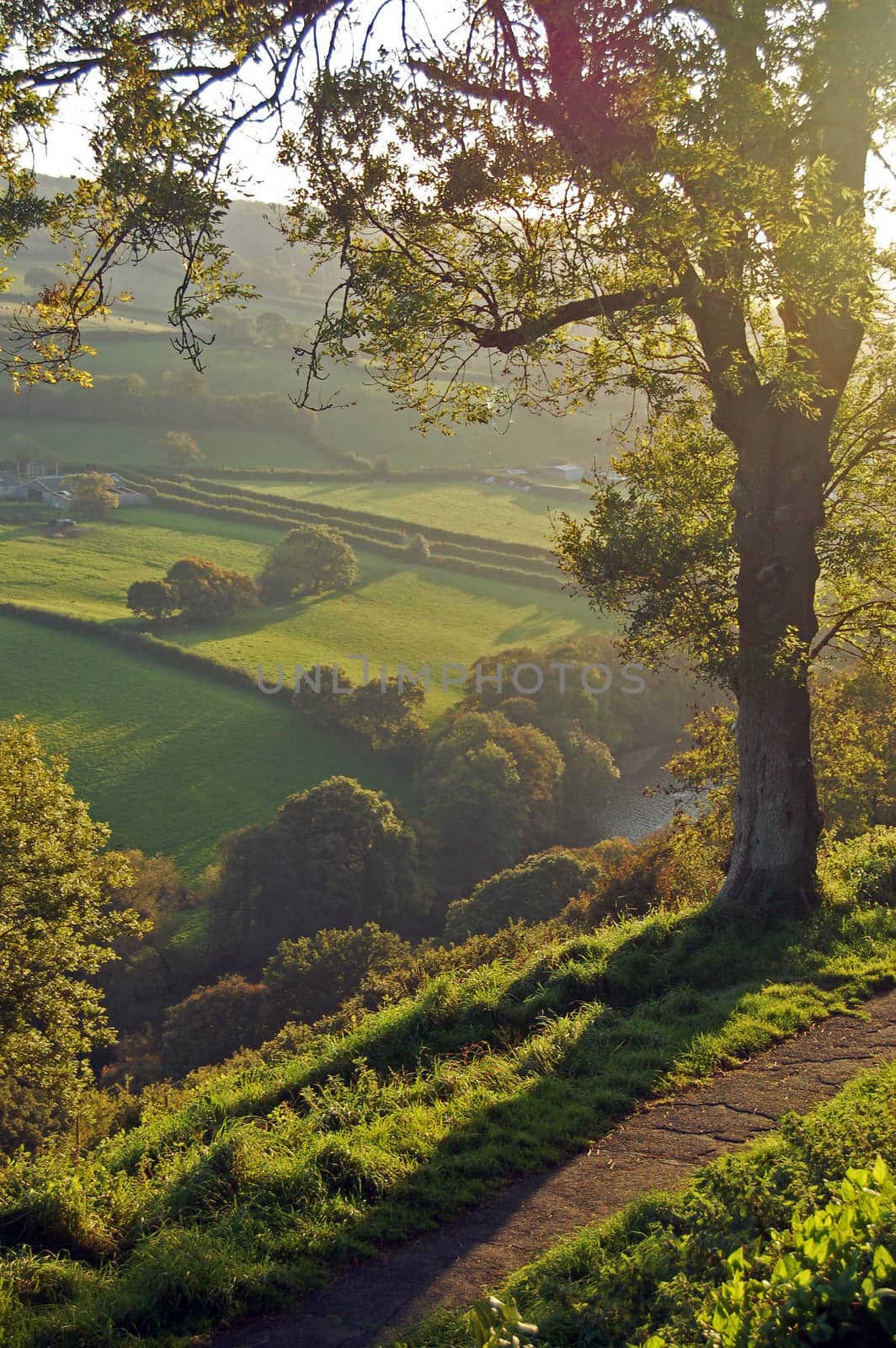 The view from Castle Hill, Torrington, in North Devon, England, overlooks the deep ravine of the River Torridge ( The home of Tarka the Otter ). The 2 narrow strip fields in the valley bottom are a rare surviving example of ancient fields to which lepers were sent to survive on once they had been excluded from the community.