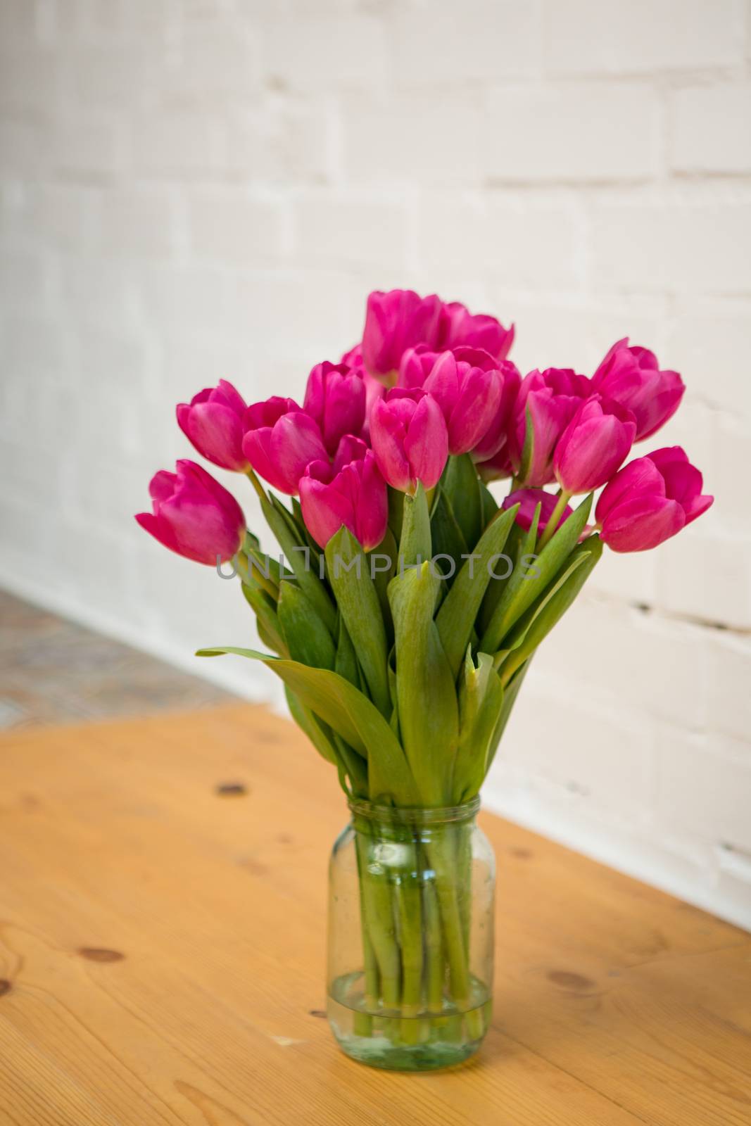 beautiful pink tulips in a vase by sarymsakov