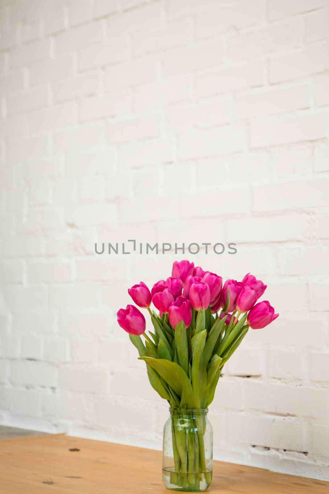 beautiful pink tulips on white background in glass