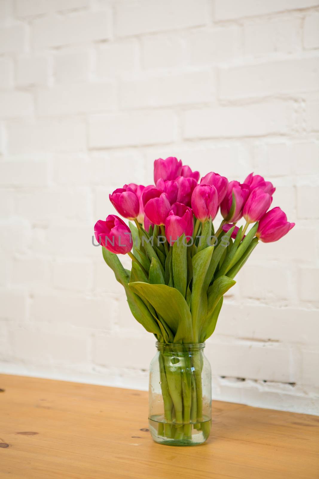 beautiful pink tulips in a vase by sarymsakov