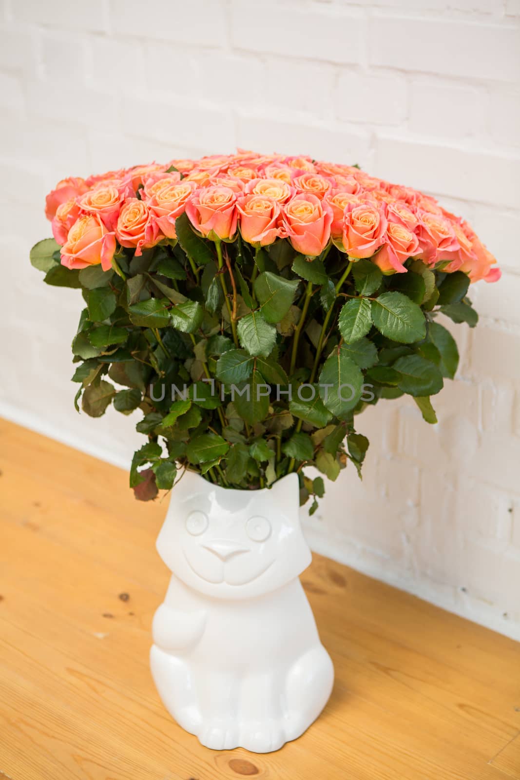 beautiful roses in a vase-cat on a white background