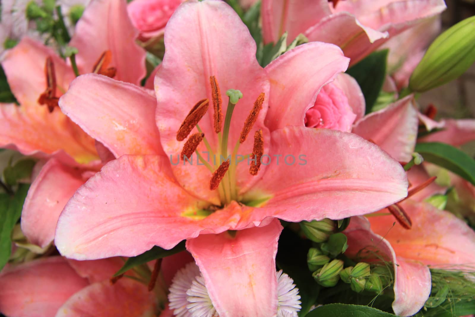 Pink tiger lily in a bridal arrangement