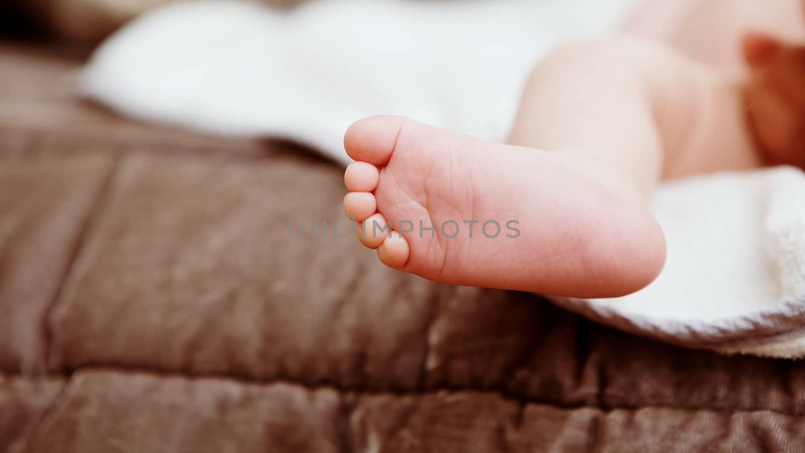 Foot of newborn baby close up. Shallow dof