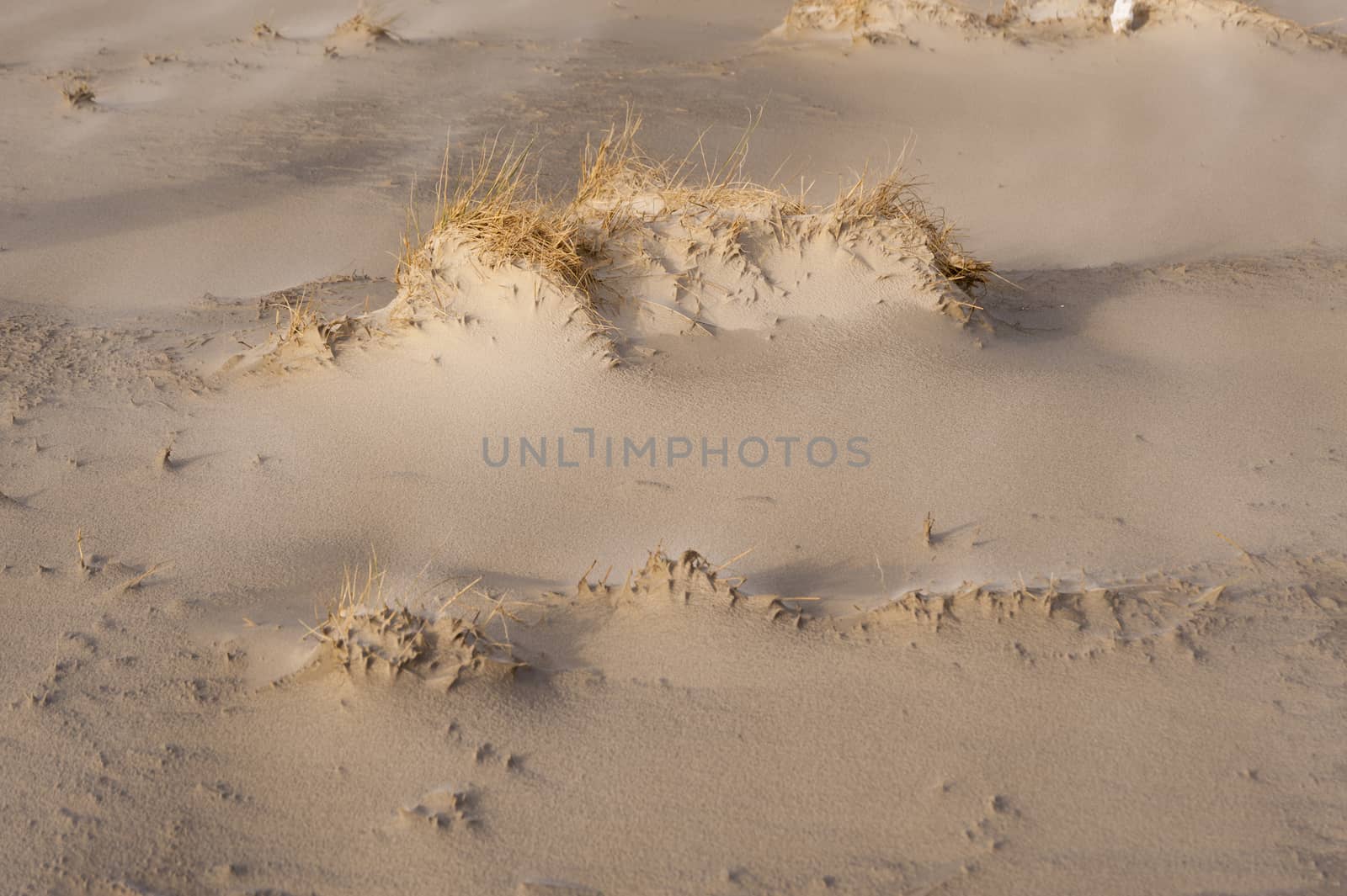 Beach of Amrum in Germany