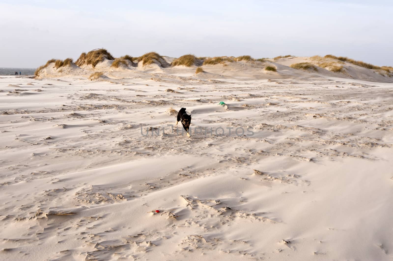 Beach of Amrum in Germany