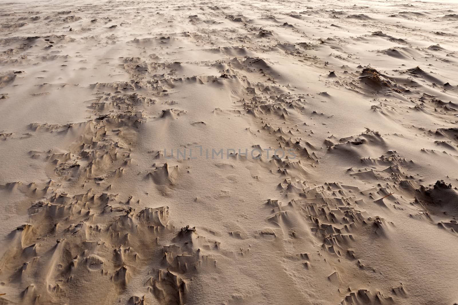 Beach of Amrum in Germany