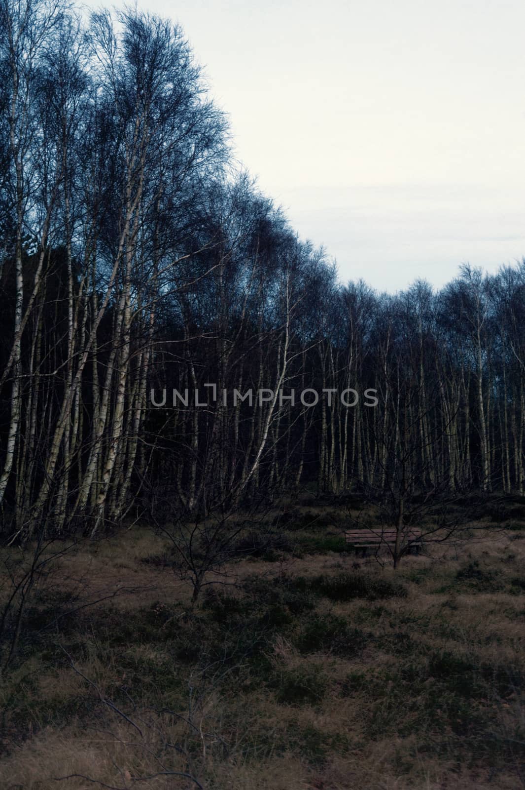 Evening Mood on Amrum in Germany