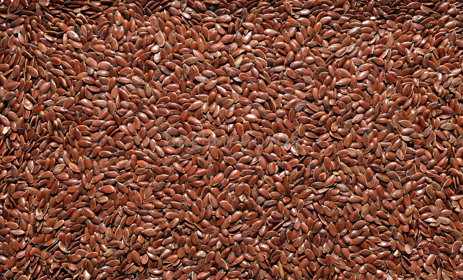 Flax plant seed texture natural pattern background