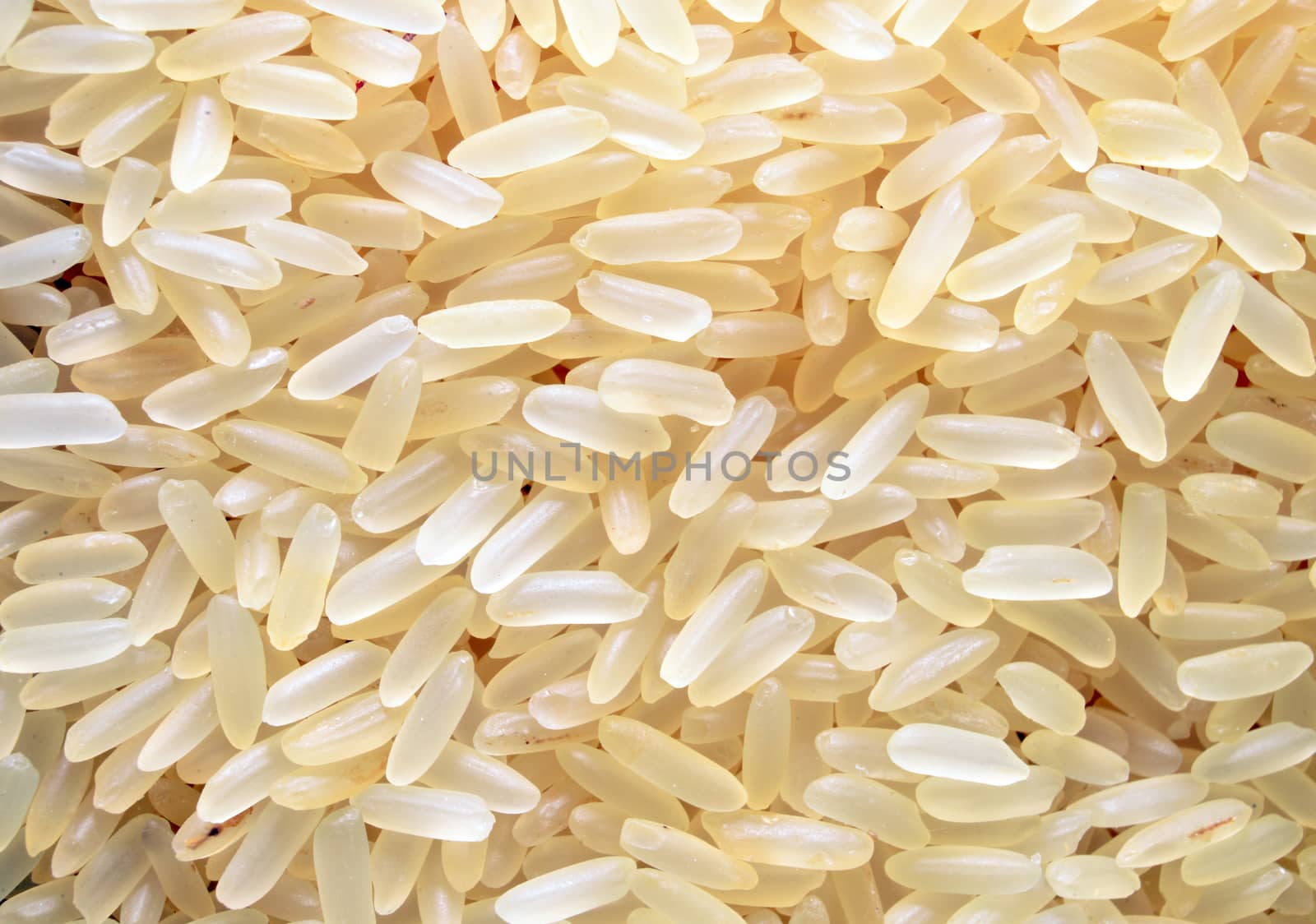 rice grains macro texture close detail pattern