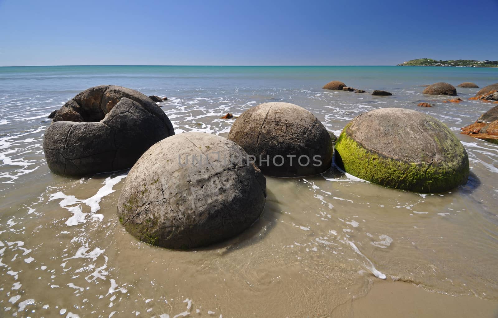 Moeraki Boulders are perfectly spherical rocks on the beach at Moeraki, near Oamaru. Up to 13 feet round Maori believe they were canoe food baskets.