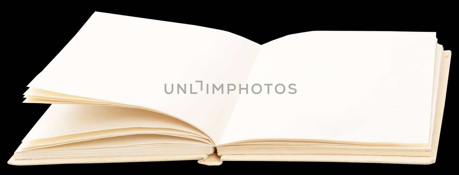 Open book with blank leaves by cherezoff